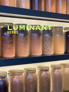 Variety of organic Herbs and teas